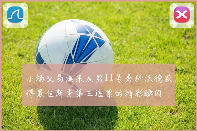 小杨交易换来灰熊11号秀科沃德获得最佳新秀第三选票的精彩瞬间
